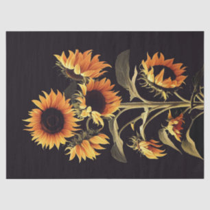 SUNFLOWERS WITH GREEN LEAVES IN BLACK  TISSUE PAPER