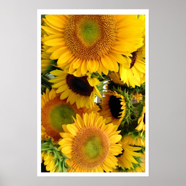Sunflowers Yellow Bunch of Happiness Poster (Front)