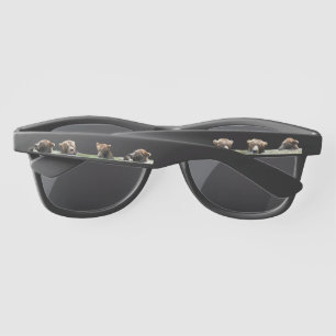 Sunglasses w/ grizzly bears
