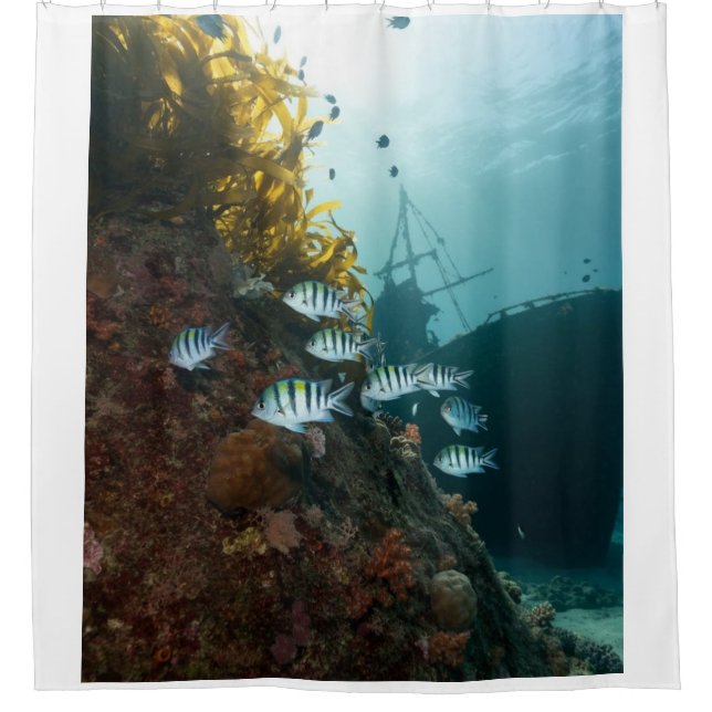 Sunken ship hidden by the reef, school of fish shower curtain (Front)