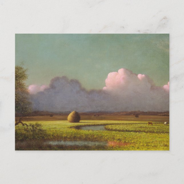 Sunlight and Shadow, The Newbury Marshes Postcard (Front)