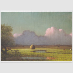 Sunlight and Shadow: The Newbury Marshes Tissue Paper