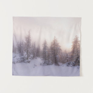 Sunlight and spruce forest tapestry
