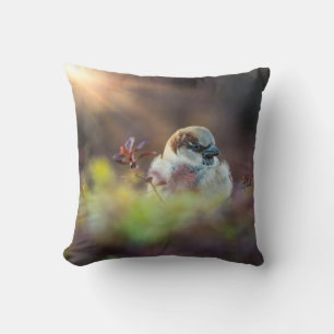 Sunlight Bathing Finch Cushion
