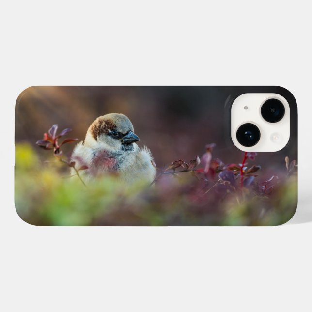 Sunlight Bathing Finch iPhone Case (Back (Horizontal))