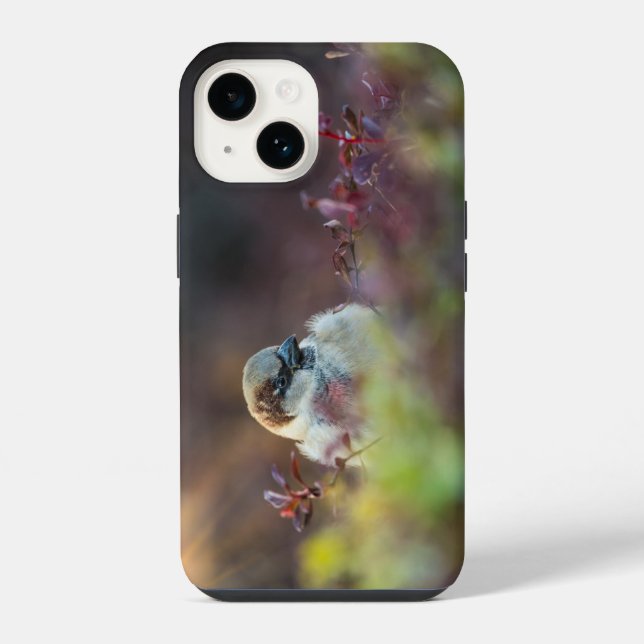 Sunlight Bathing Finch iPhone Case (Back)