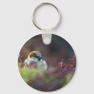 Sunlight Bathing Finch Key Ring
