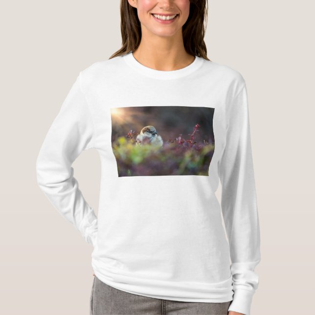Sunlight Bathing Finch T-Shirt (Front)
