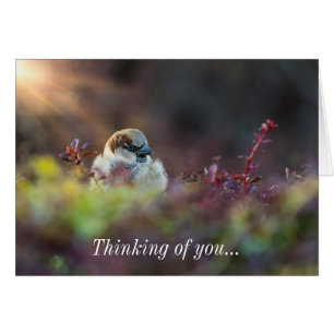 Sunlight Bathing Finch Thinking Of You Card