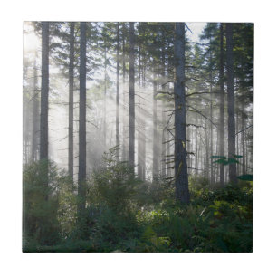Sunlight Breaking Through a Misty Forest Ceramic Tile
