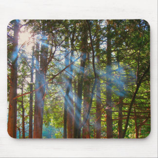 Sunlight Breaking Through the Pines Mouse Pad