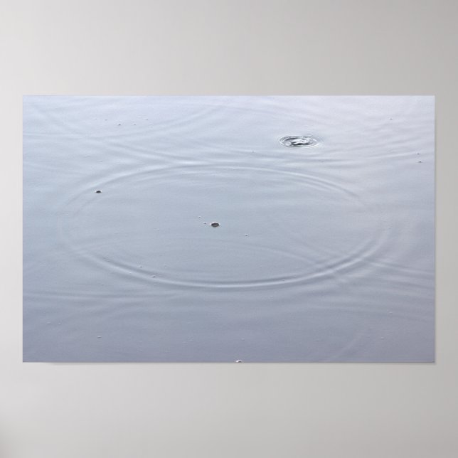 Sunlight Circles in Pond Poster (Front)