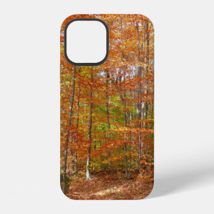 Sunlight Dappled Fall Trail at Laurel Hill Park iPhone 12 Case
