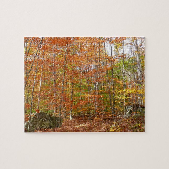 Sunlight Dappled Fall Trail at Laurel Hill Park Jigsaw Puzzle (Horizontal)