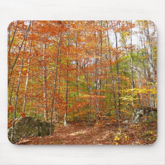 Sunlight Dappled Fall Trail at Laurel Hill Park Mouse Pad (Front)