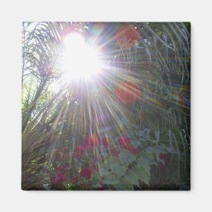 Sunlight Garden Magnet