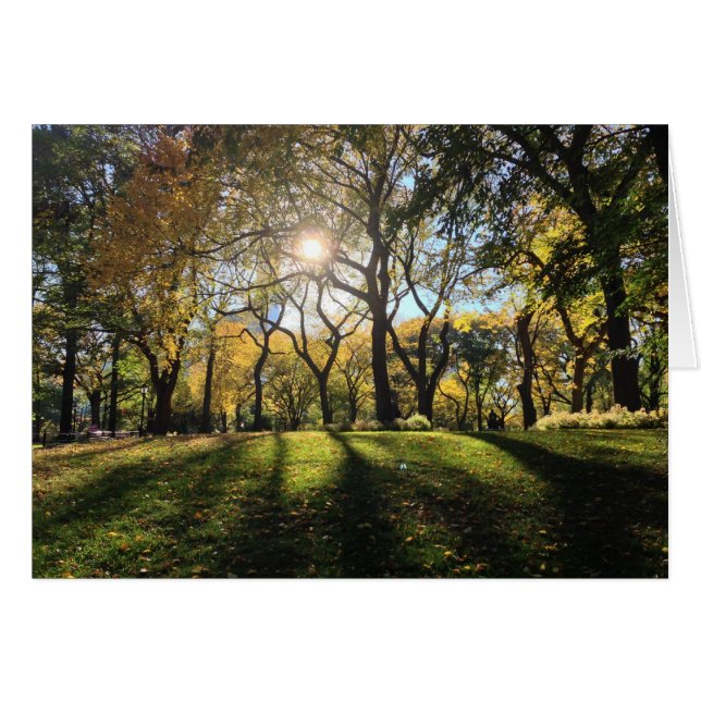 Sunlight in Central Park (Front Horizontal)