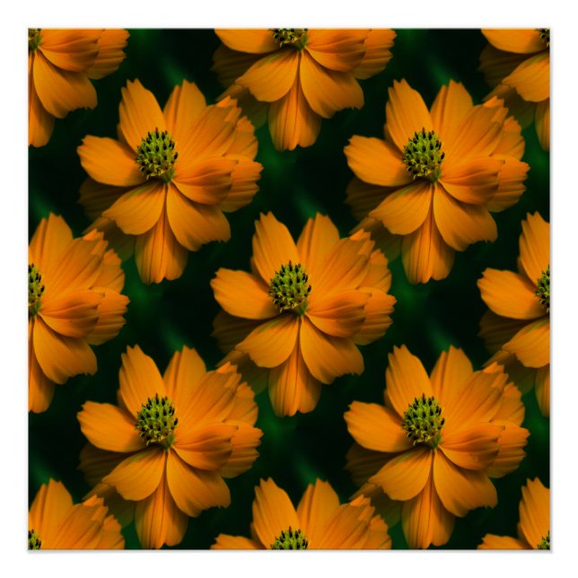 Sunlight Love... Poster (Front)