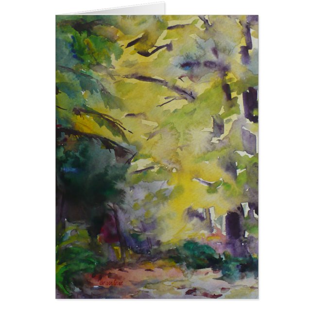 Sunlight on a forest path by Silver Lake (Front)