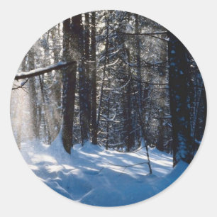 Sunlight On Snow Classic Round Sticker