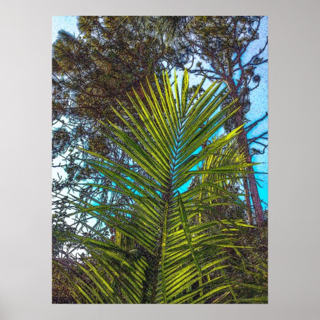 Sunlight on the Palm Fronds Poster Paper  (Front)