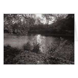 Sunlight on the Taff, Bute Park, Cardiff
