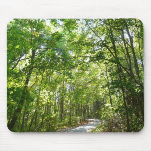 Sunlight on Wooded Path at Centennial Park Mouse Pad