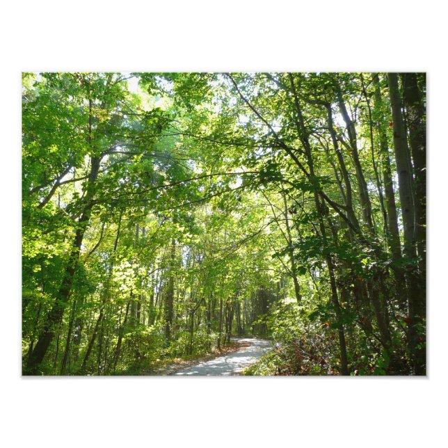 Sunlight on Wooded Path at Centennial Park Photo Print (Front)