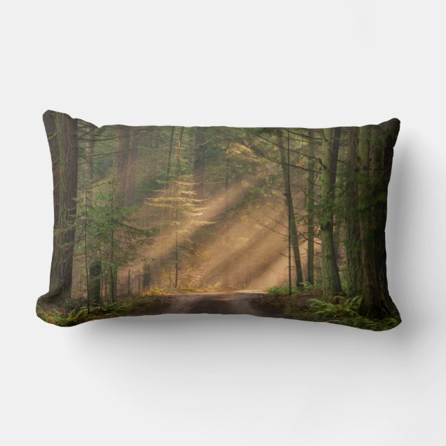 Sunlight Shining Through a Forest Lumbar Cushion (Front)
