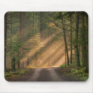 Sunlight Shining Through a Forest Mouse Pad