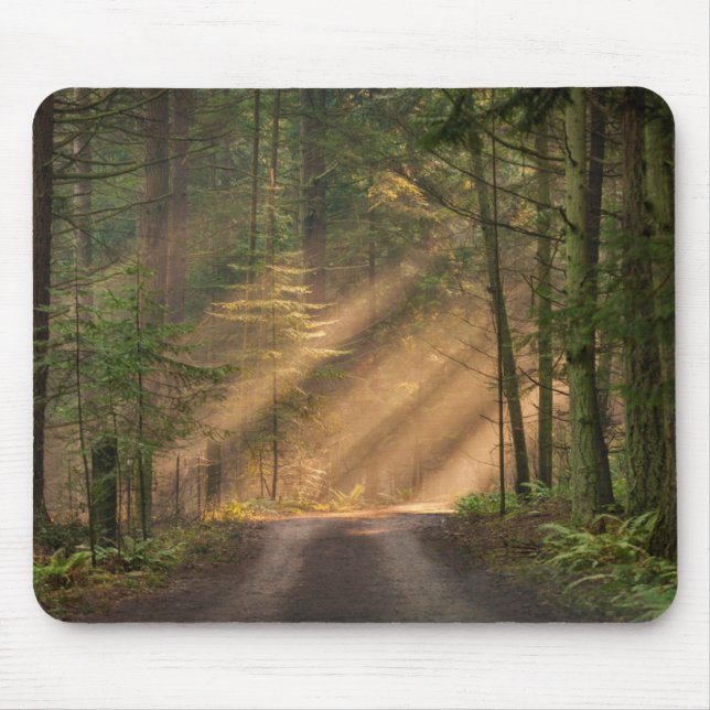 Sunlight Shining Through a Forest Mouse Pad (Front)