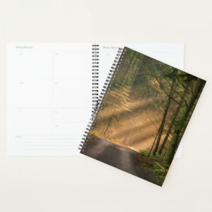 Sunlight Shining Through a Forest Planner