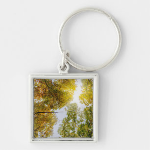 Sunlight Through Autumn Sugar Maples Key Ring