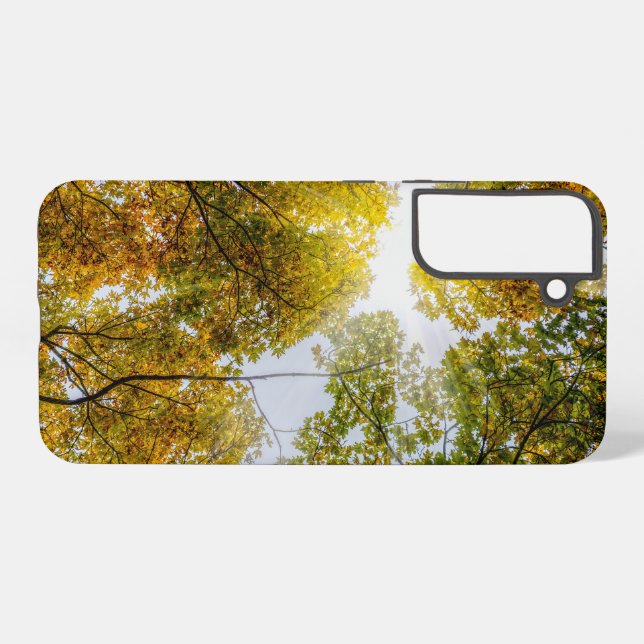 Sunlight Through Autumn Sugar Maples Samsung Case (Back Horizontal)