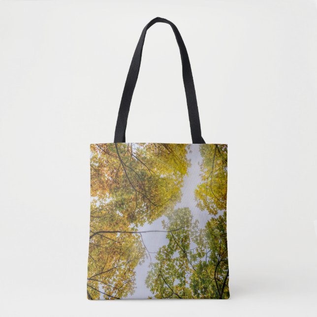 Sunlight Through Autumn Sugar Maples Tote Bag (Front)