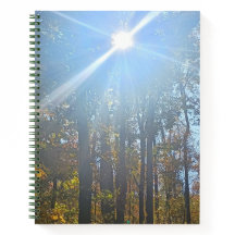 Sunlight Through Autumn Trees Spiral Journal