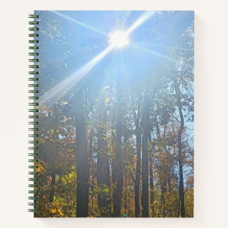 Sunlight Through Autumn Trees Spiral Journal