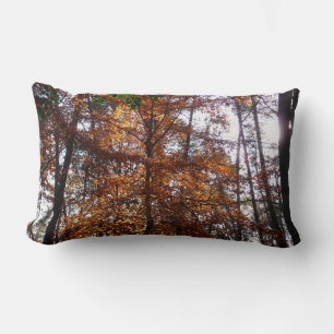 Sunlight Through Fall Tree at Greenbelt Lumbar Cushion