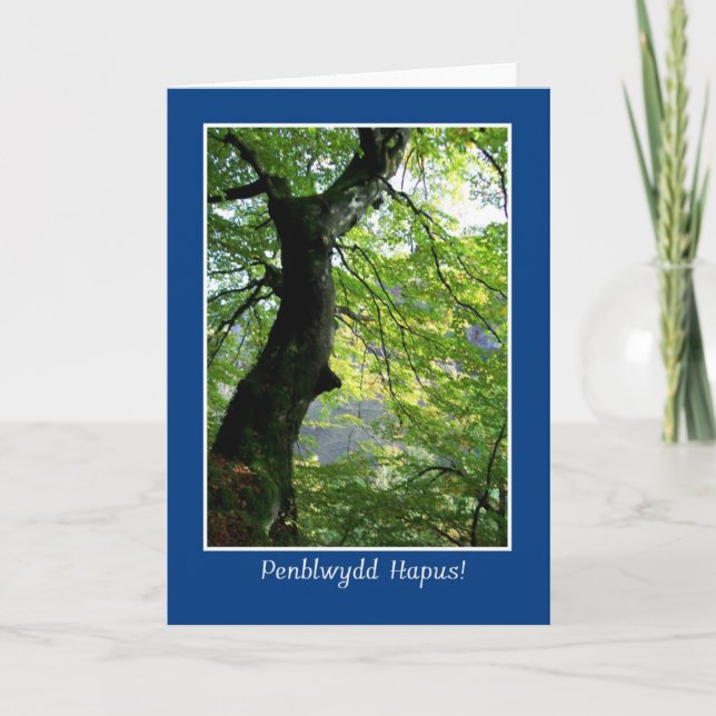 Sunlight Through Leaves: Birthday Card: Welsh Card (Front)