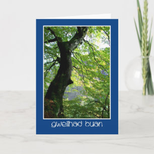 Sunlight Through Leaves: Get Well Card: Welsh Card