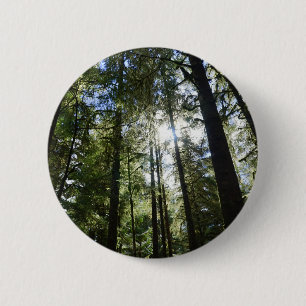Sunlight Through Pine Trees 6 Cm Round Badge
