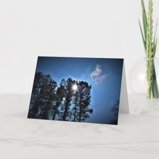 Sunlight Through Pine Trees, card (Front)