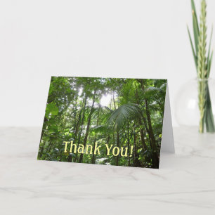 Sunlight Through Rainforest Canopy Thank You Card