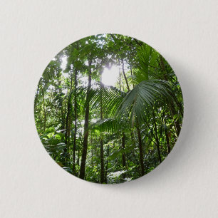 Sunlight Through Rainforest Canopy Tropical Green 6 Cm Round Badge