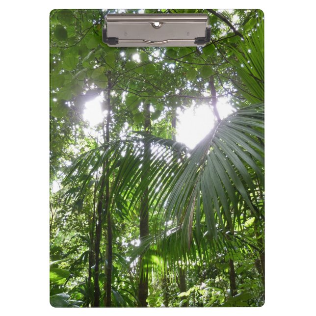 Sunlight Through Rainforest Canopy Tropical Green Clipboard (Front)