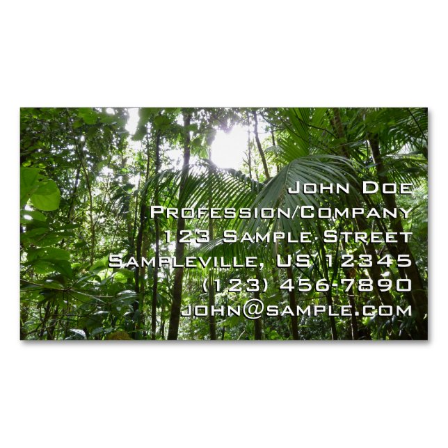 Sunlight Through Rainforest Canopy Tropical Green Magnetic Business Card (Front)