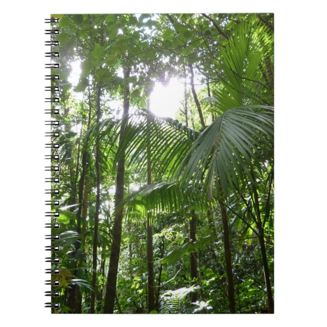 Sunlight Through Rainforest Canopy Tropical Green Notebook (Front)