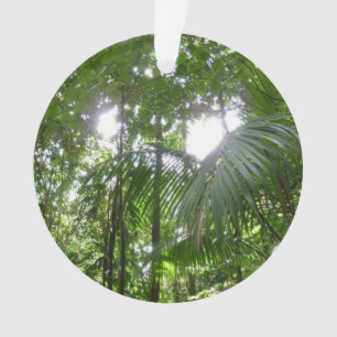 Sunlight Through Rainforest Canopy Tropical Green Ornament