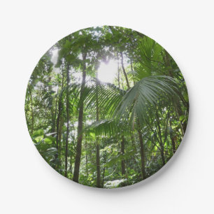 Sunlight Through Rainforest Canopy Tropical Green Paper Plate