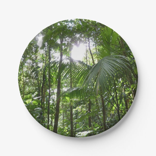 Sunlight Through Rainforest Canopy Tropical Green Paper Plate (Front)